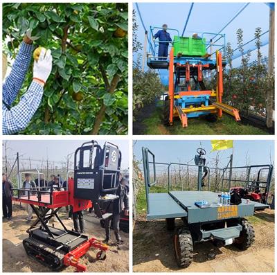 Research progress and prospect of key technologies of fruit target recognition for robotic fruit picking